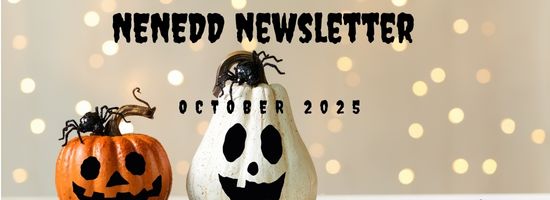 NENEDD Newsletter Header 3