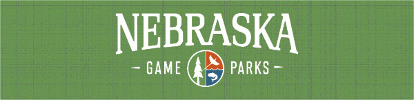 ne games parks 2