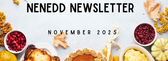 NENEDD Newsletter Header