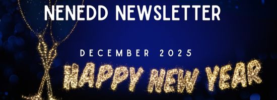 NENEDD Newsletter Header 2