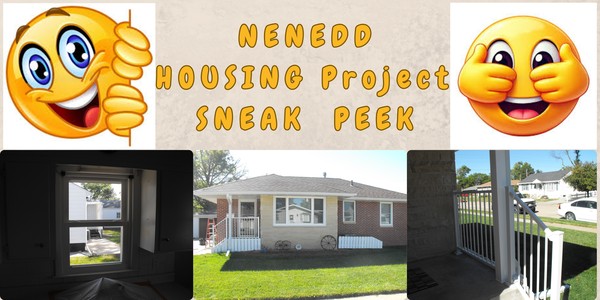 NENEDD HOUSING SNEAK PEEK (1)